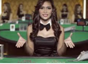 熊猫体育下载最新版